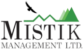 Mistik Management Online Training